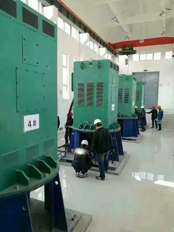 金安某污水处理厂使用我厂的立式高压电机安装现场质量怎么样
