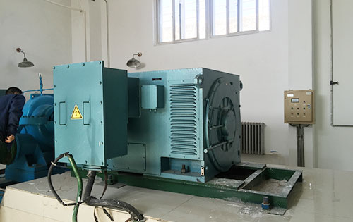 金安某水电站工程主水泵使用我公司高压电机